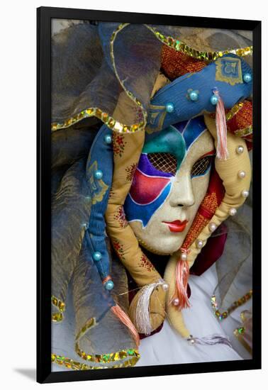 Venice, Italy. Mask and Costumes at Carnival-Darrell Gulin-Framed Photographic Print