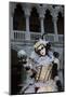 Venice, Italy. Mask and Costumes at Carnival-Darrell Gulin-Mounted Photographic Print