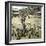 Venice (Italy), Saint Mark's Square, Circa 1895-Leon, Levy et Fils-Framed Photographic Print