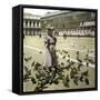 Venice (Italy), Saint Mark's Square, Circa 1895-Leon, Levy et Fils-Framed Stretched Canvas