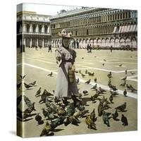 Venice (Italy), Saint Mark's Square, Circa 1895-Leon, Levy et Fils-Stretched Canvas
