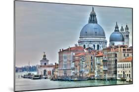 Venice Lately-Assaf Frank-Mounted Giclee Print