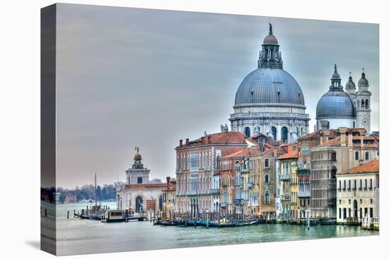 Venice Lately-Assaf Frank-Stretched Canvas