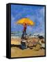 Venice Lido-Christine McKechnie-Framed Stretched Canvas