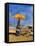 Venice Lido-Christine McKechnie-Framed Stretched Canvas