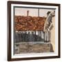 Venice Roof-Christine McKechnie-Framed Giclee Print