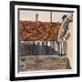 Venice Roof-Christine McKechnie-Framed Giclee Print