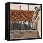 Venice Roof-Christine McKechnie-Framed Stretched Canvas