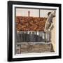 Venice Roof-Christine McKechnie-Framed Giclee Print