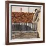 Venice Roof-Christine McKechnie-Framed Giclee Print