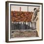 Venice Roof-Christine McKechnie-Framed Giclee Print