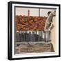 Venice Roof-Christine McKechnie-Framed Giclee Print