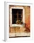 Venice Snapshots V-Danny Head-Framed Photographic Print