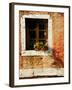 Venice Snapshots V-Danny Head-Framed Photographic Print