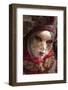 Venice, UNESCO World Heritage Site, Veneto, Italy, Europe-Angelo Cavalli-Framed Photographic Print