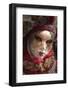 Venice, UNESCO World Heritage Site, Veneto, Italy, Europe-Angelo Cavalli-Framed Photographic Print