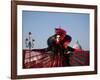 Venice, Veneto, Italy, a Mask in Costume on the Bacino Di San Marco with the Cupola of Santa Maria -Ken Scicluna-Framed Photographic Print