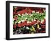 Venice, Veneto, Italy, Coloured Pasta on Display in a Shop Window-Ken Scicluna-Framed Photographic Print