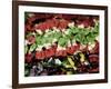 Venice, Veneto, Italy, Coloured Pasta on Display in a Shop Window-Ken Scicluna-Framed Photographic Print