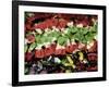 Venice, Veneto, Italy, Coloured Pasta on Display in a Shop Window-Ken Scicluna-Framed Photographic Print