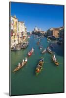 Venice, Veneto, Italy. Historical Regatta Event on the Grand Canal-Marco Bottigelli-Mounted Photographic Print