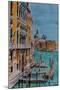 Venice, View from Academia Bridge, June 2016-Anthony Butera-Mounted Giclee Print