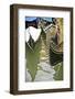 Venice-Veneratio-Framed Photographic Print