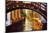 Venice-Oleg Znamenskiy-Mounted Photographic Print