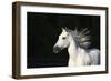 Venidero 005-Bob Langrish-Framed Photographic Print