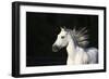 Venidero 005-Bob Langrish-Framed Photographic Print