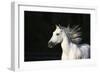 Venidero 005-Bob Langrish-Framed Photographic Print