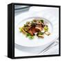 Venison Fillet with Sprout Leaves and Chanterelle Mushrooms-Stefan Braun-Framed Stretched Canvas