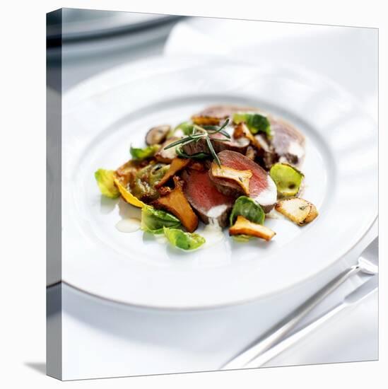 Venison Fillet with Sprout Leaves and Chanterelle Mushrooms-Stefan Braun-Stretched Canvas