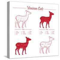 Venison Meat Cut Diagram Scheme-ONiONAstudio-Stretched Canvas
