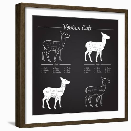 Venison Meat Cut Diagram Scheme-ONiONAstudio-Framed Premium Giclee Print