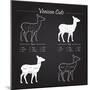 Venison Meat Cut Diagram Scheme-ONiONAstudio-Mounted Premium Giclee Print