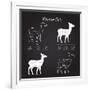 Venison Meat Cut Diagram Scheme-ONiONAstudio-Framed Art Print