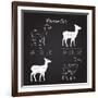 Venison Meat Cut Diagram Scheme-ONiONAstudio-Framed Art Print