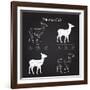 Venison Meat Cut Diagram Scheme-ONiONAstudio-Framed Art Print