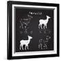 Venison Meat Cut Diagram Scheme-ONiONAstudio-Framed Art Print