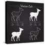 Venison Meat Cut Diagram Scheme-ONiONAstudio-Stretched Canvas