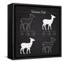 Venison Meat Cut Diagram Scheme-ONiONAstudio-Framed Stretched Canvas