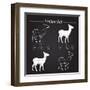 Venison Meat Cut Diagram Scheme-ONiONAstudio-Framed Art Print