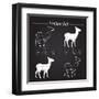 Venison Meat Cut Diagram Scheme-ONiONAstudio-Framed Art Print