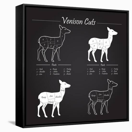 Venison Meat Cut Diagram Scheme-ONiONAstudio-Framed Stretched Canvas