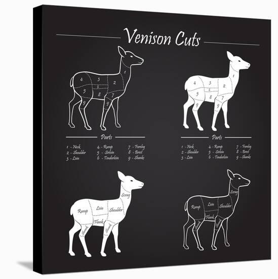Venison Meat Cut Diagram Scheme-ONiONAstudio-Stretched Canvas
