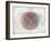 Venn Diagram of Humans - 1873, The World in Hemispheres Map-null-Framed Giclee Print