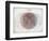 Venn Diagram of Humans - 1873, The World in Hemispheres Map-null-Framed Premium Giclee Print