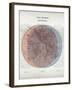 Venn Diagram of Humans - 1873, The World in Hemispheres Map-null-Framed Giclee Print