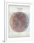 Venn Diagram of Humans - 1873, The World in Hemispheres Map-null-Framed Giclee Print